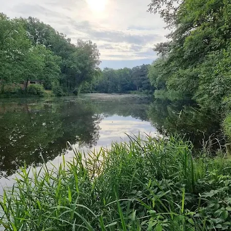 In Nahe Lueneburger Heide *