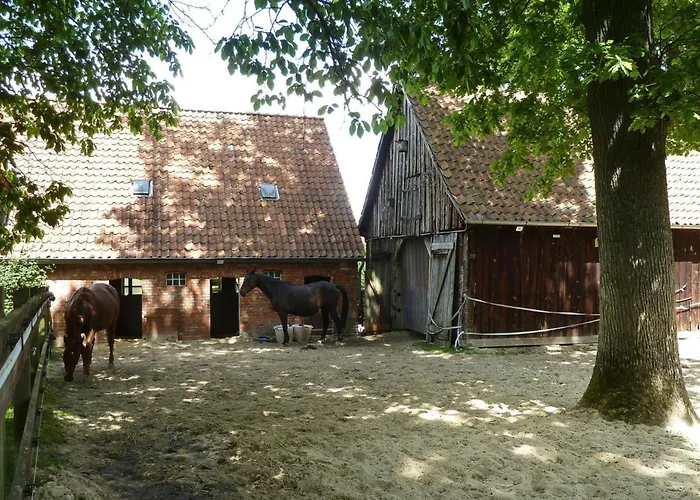 In Nahe Lueneburger Heide *