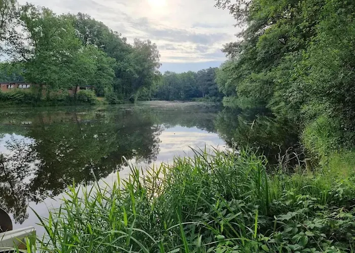 In Nahe Lueneburger Heide *